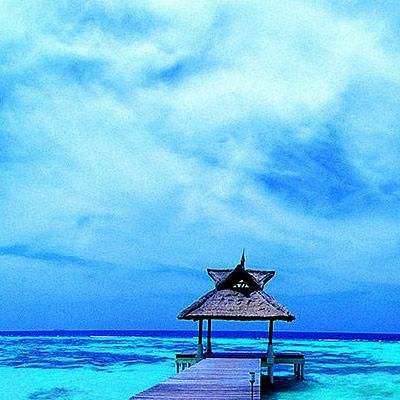 万博体育苹果下载