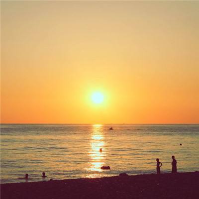 BOB体育综合官方平台官网App