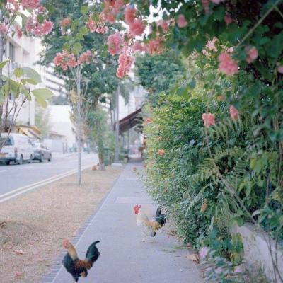 火博体育全站下载版