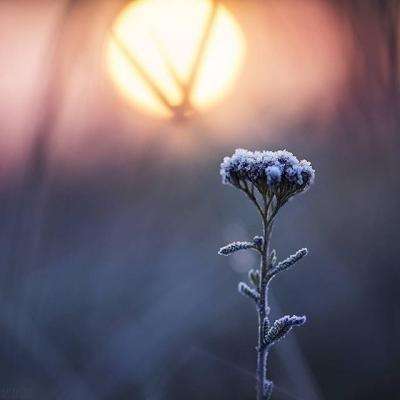 2023管家婆资料正版大全澳门下载手机版