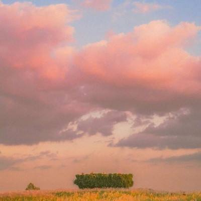 亚搏平台最新版app下载