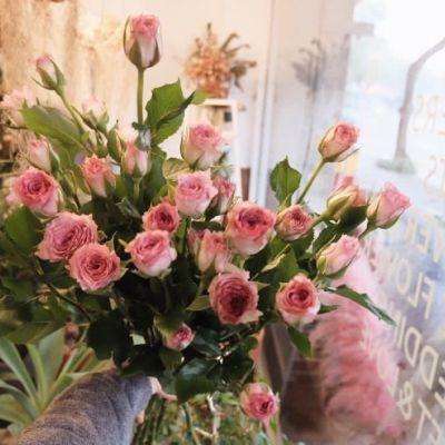 快彩乐首页下载手机版