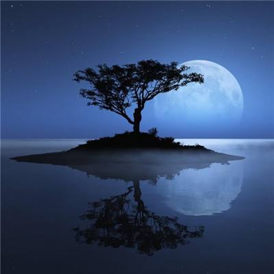 乐动体育app下注下载