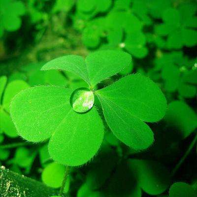 金沙app下载官网