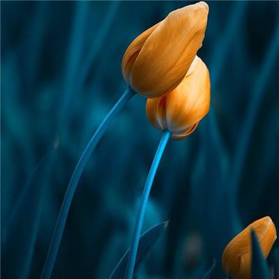 娱乐宝官网app下载