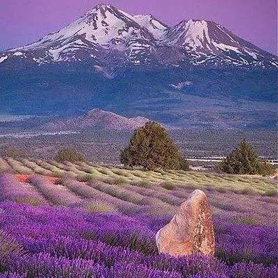 域网棋牌app下载