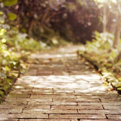 打鱼下载手机app下载