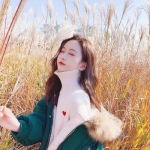 leyu·乐鱼(中国)体育